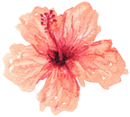 (407-02) Single Hibiscus Flower