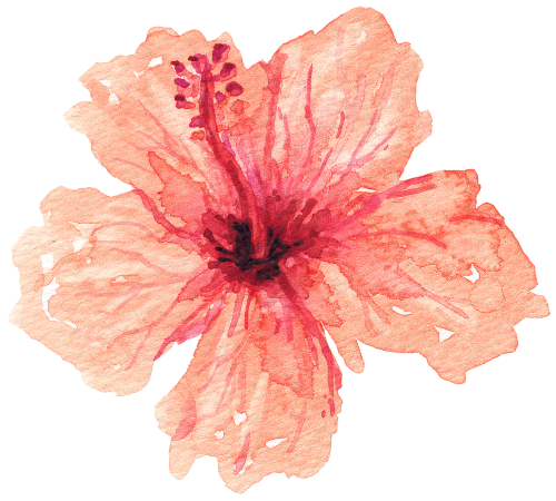 (407-02) Single Hibiscus Flower