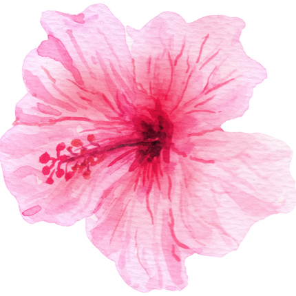 (407-02) Single Hibiscus Flower