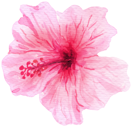 (407-02) Single Hibiscus Flower