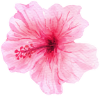 (407-02) Single Hibiscus Flower