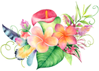 (407-02) Tropical Flowers