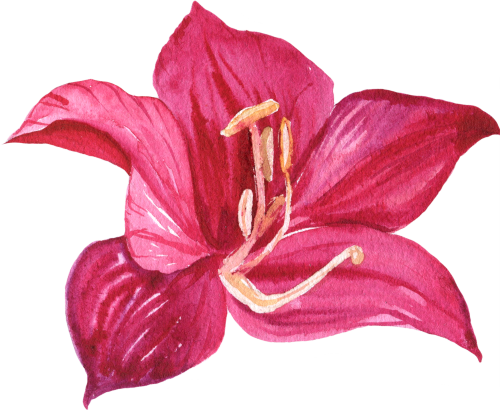 (407-02) Single Hibiscus Flower