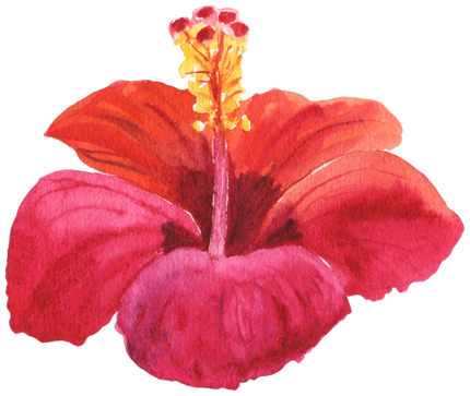 (407-02) Single Hibiscus Flower
