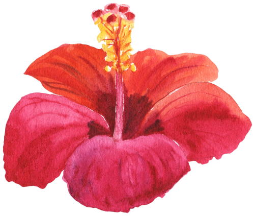(407-02) Single Hibiscus Flower
