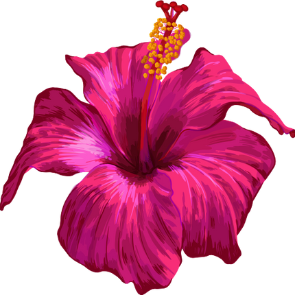 (407-02) Pink Hibiscus Flower