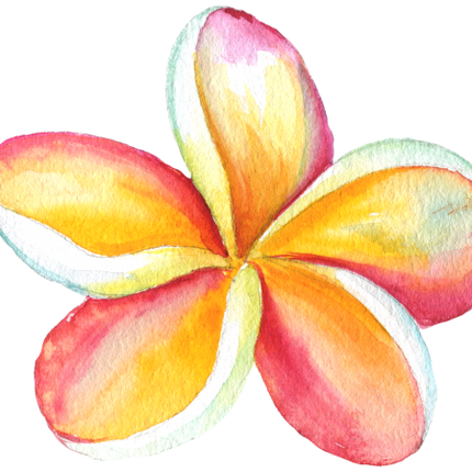 (407-02) Plumeria
