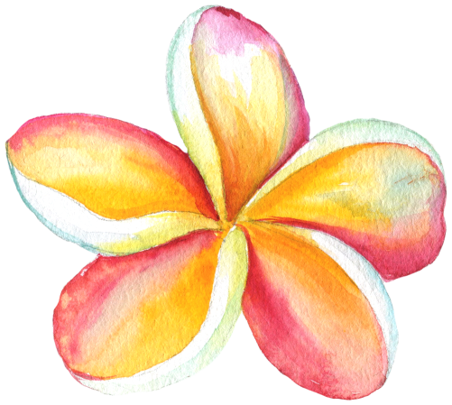 (407-02) Plumeria