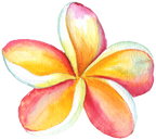 (407-02) Plumeria