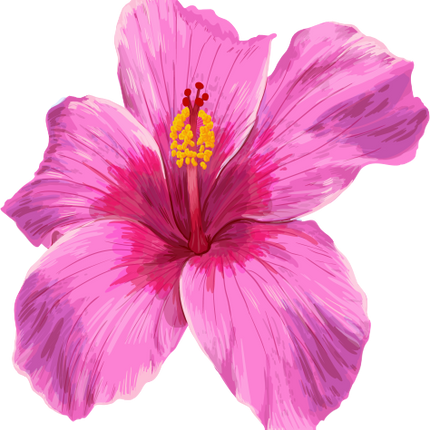 (407-02) Pink Hibiscus Flower