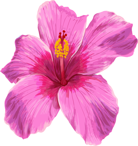 (407-02) Pink Hibiscus Flower
