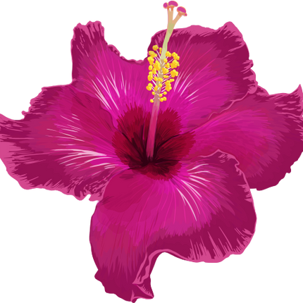 (407-02) Pink Hibiscus Flower