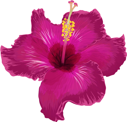 (407-02) Pink Hibiscus Flower