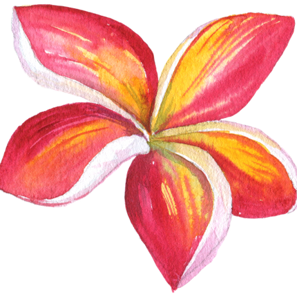 (407-02) Plumeria