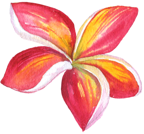 (407-02) Plumeria