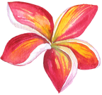 (407-02) Plumeria