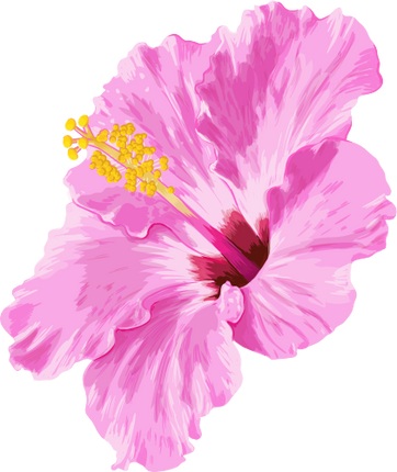 (407-02) Pink Hibiscus Flower