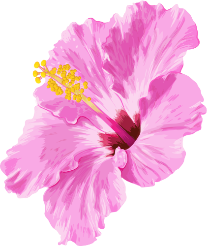 (407-02) Pink Hibiscus Flower