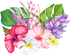 (407-02) Tropical Flowers