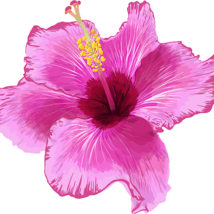 (407-02) Pink Hibiscus Flower