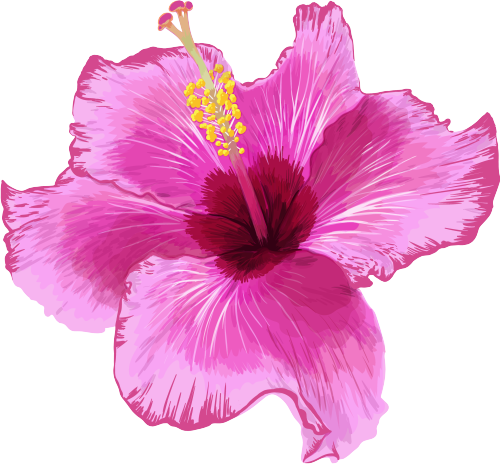 (407-02) Pink Hibiscus Flower