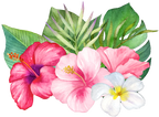 (407-02) Tropical Flowers