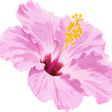 (407-02) Pink Hibiscus Flower