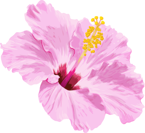 (407-02) Pink Hibiscus Flower