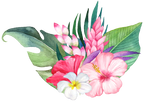 (407-02) Tropical Flowers