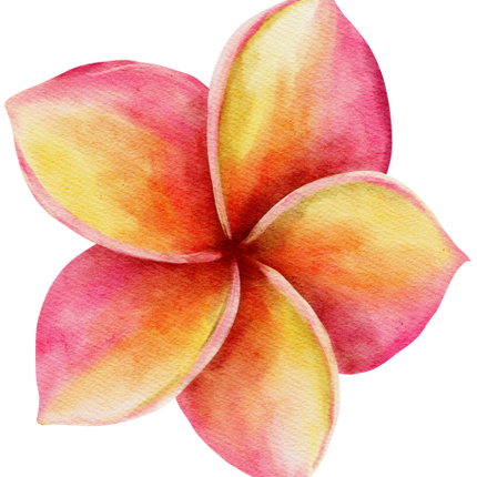 (407-02) Plumeria