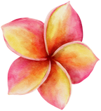 (407-02) Plumeria