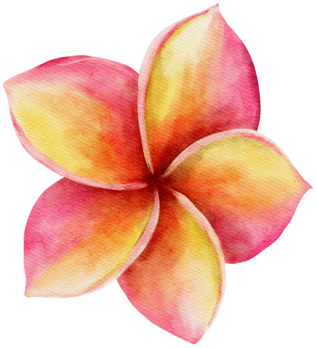 (407-02) Plumeria