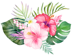 (407-02) Tropical Flowers