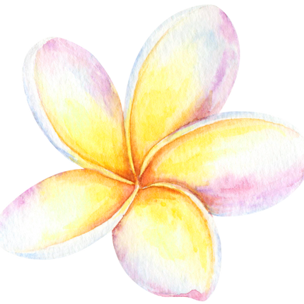 (407-02) Plumeria