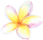 (407-02) Plumeria