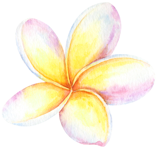 (407-02) Plumeria