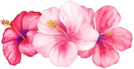 (407-02) Tropical Flowers