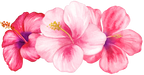 (407-02) Tropical Flowers