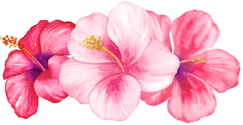 (407-02) Tropical Flowers