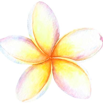 (407-02) Plumeria