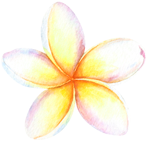 (407-02) Plumeria