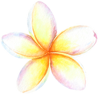 (407-02) Plumeria