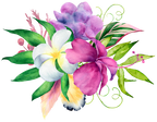 (407-02) Purple Tropical Flowers