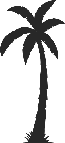 (s040-1-O) Palm Tree Silhouette