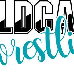 Collection image for: Wrestling