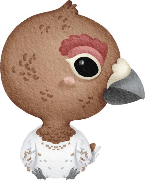 (s419-1-2B) Baby Willow Ptarmigan