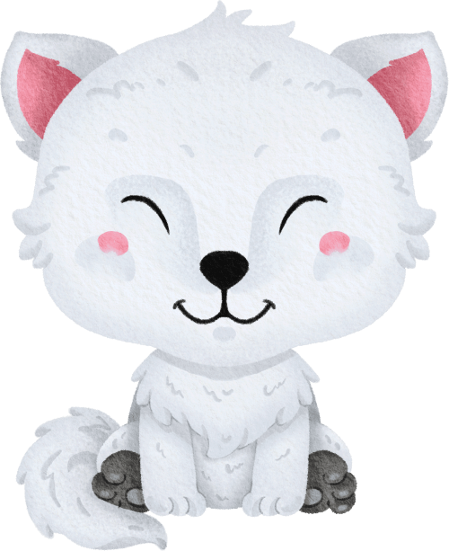 (419-01-1A) Baby Arctic Fox