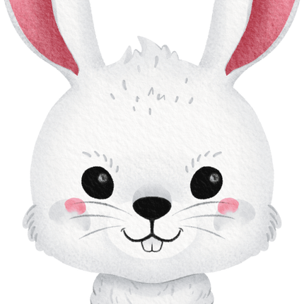(s419-1-1C) Bunny Rabbit