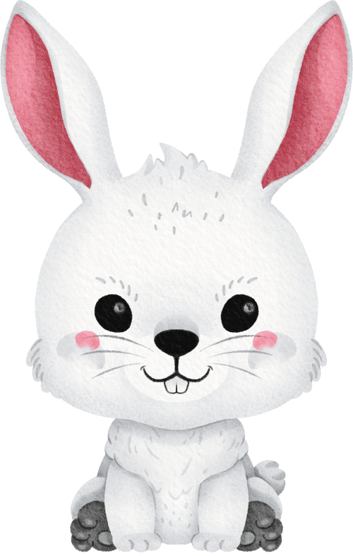 (s419-1-1C) Bunny Rabbit