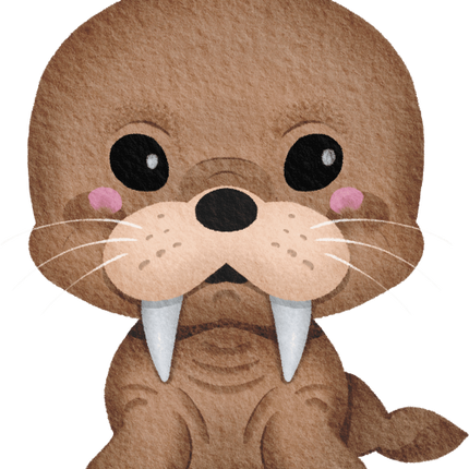 (419-01-2C) Baby Walrus